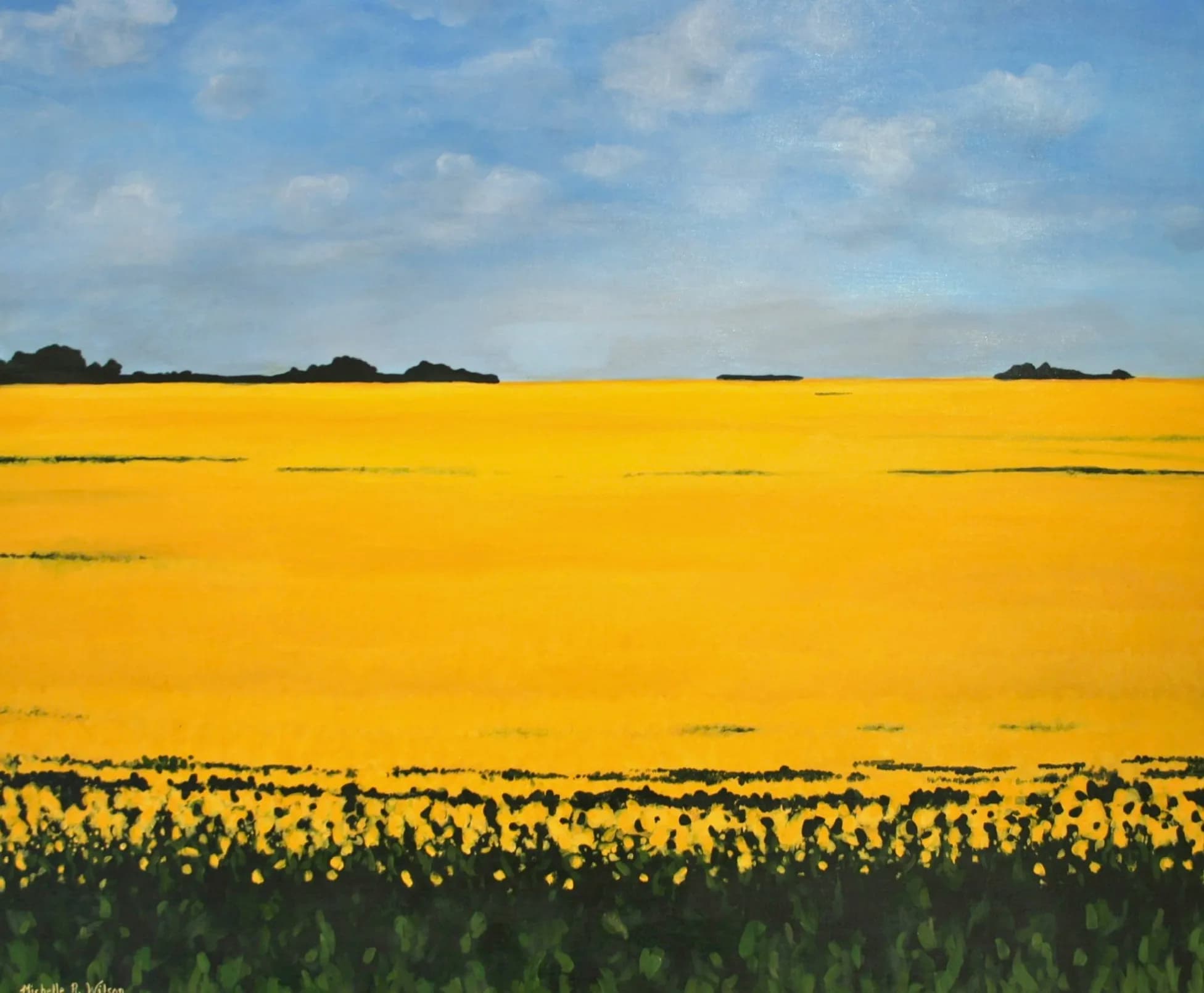 Canola Field
